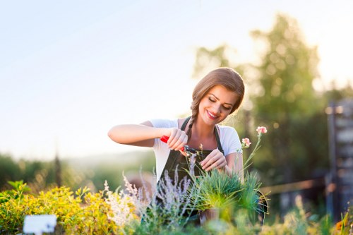 A woman tending to a garden during daylight hours, surrounded by a variety of plants, including yellow flowering bushes, green grasses, and blooming flowers in a small outdoor space. The garden features neatly maintained flower beds bordered by soil and mulch, with a paved pathway visible at the back. In the background, there are trees and shrubs under a partly cloudy sky, with soft natural light illuminating the scene. The woman is smiling as she waters or adjusts the plants, demonstrating outdoor gardening activities typical of a residential garden in Blackwall. The overall setting showcases a well-kept outdoor area suitable for gardening services, highlighting lush greenery, vibrant colours, and organized plant arrangements common in local gardens serviced by Gardening Services Blackwall.