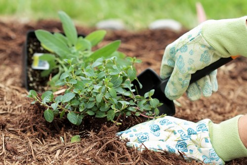 Tools and equipment used for effective garden clearance in Blackwall.